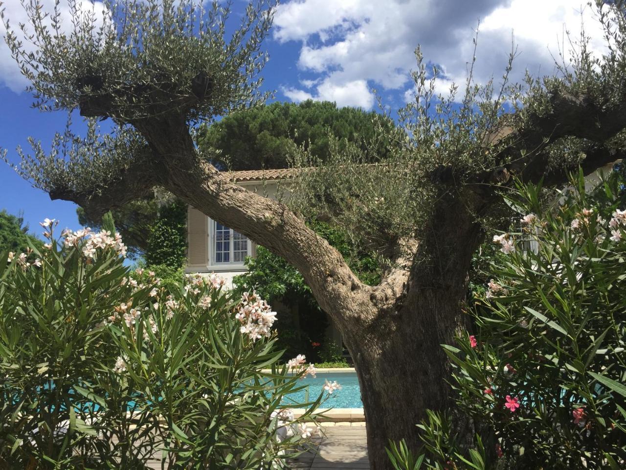Villa La Begude - Boutique Luxury B&B Saint Tropez Exteriér fotografie
